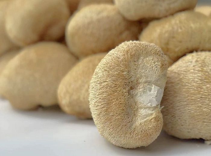 product-700-520 product-700-520
